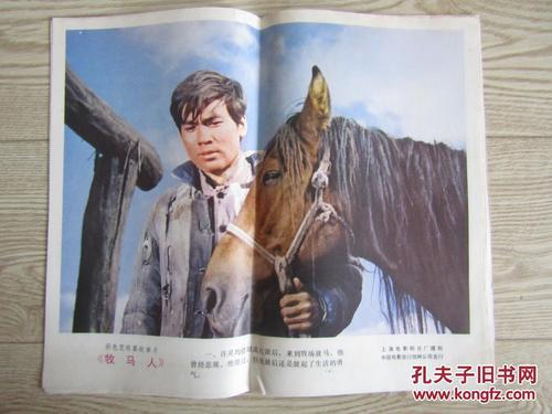 本科落户用的学历认证报告是什么